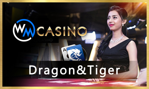9g bet 9k bet cassino entretenimento